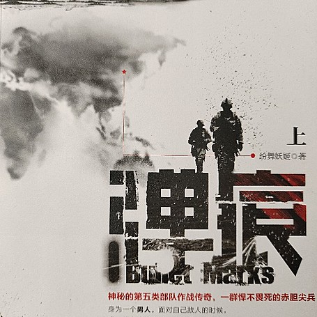 有声小说《弹痕 》MP3免费打包下载 314集 龙人播讲