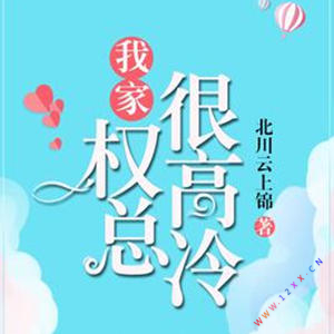 我家权总很高冷有声小说全集_小玖&乐吟播讲