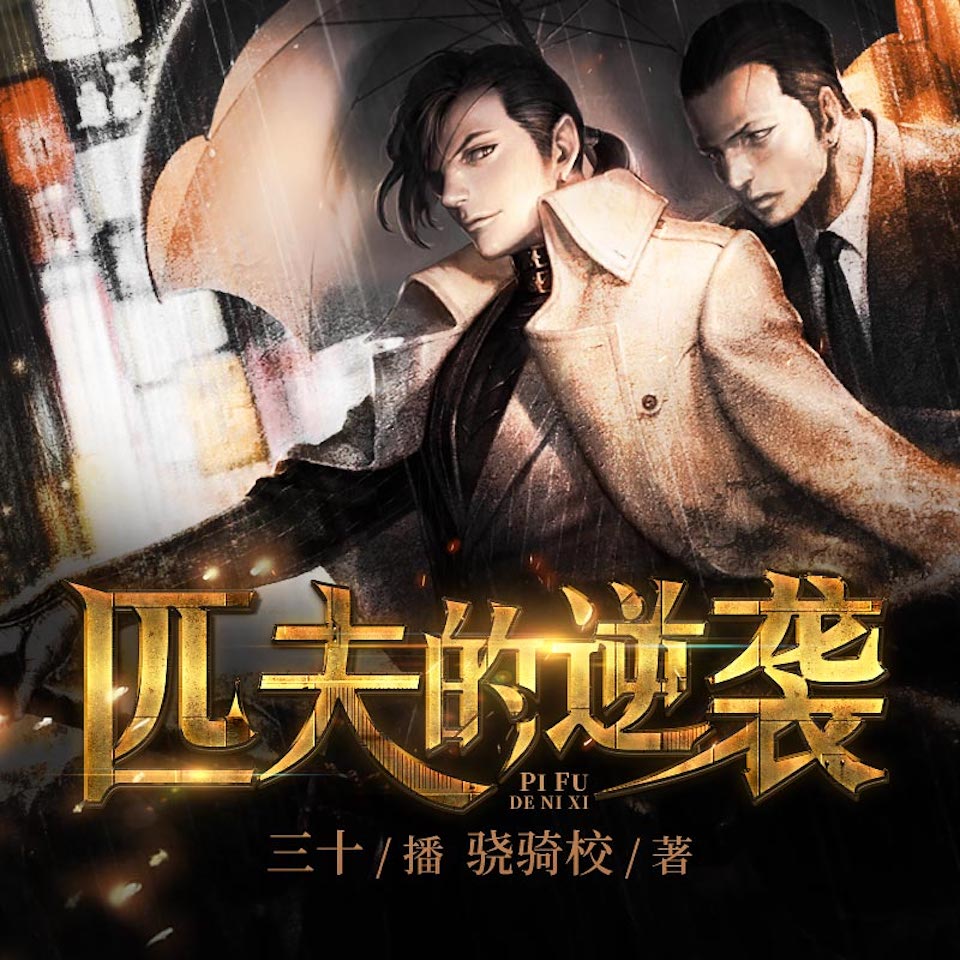 匹夫的逆袭（骁骑校作品，都市爽文）