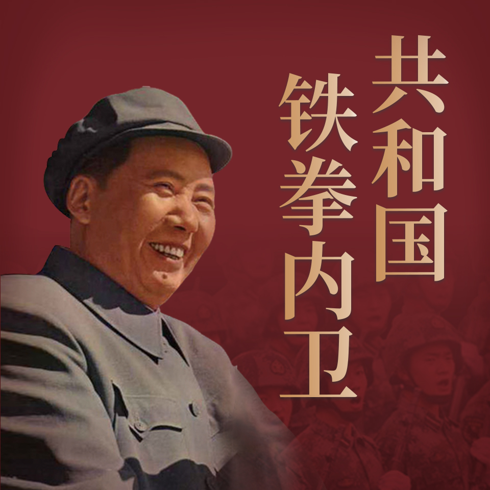 有声小说《共和国铁拳内卫》MP3免费打包下载 85集完结