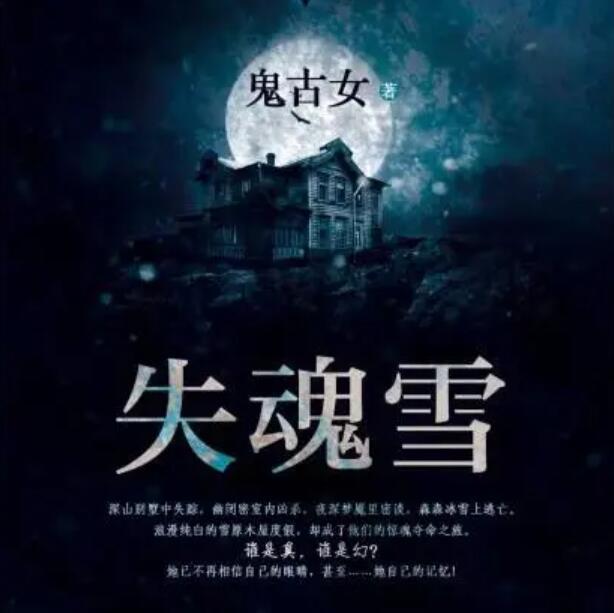 有声小说《失魂雪》MP3免费打包下载 26回全